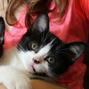 Profile Picture of Catherine Thompson (@catherinethompson6680) on Youtube