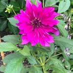 Profile Picture of Harlem Roberts (@Harlem-Roberts) on Facebook