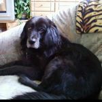 Profile Picture of Michaela Heinz (@heinz_michaela) on Instagram