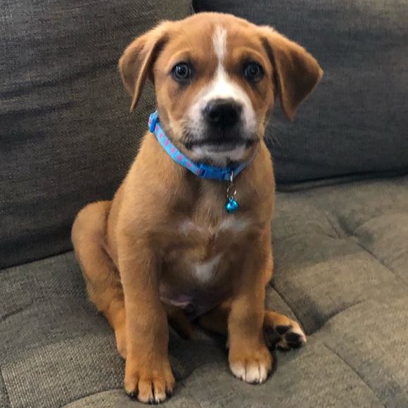 Profile Picture of Kai Druck (@kaidruck) on Poshmark