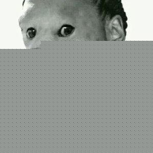 Profile Picture of Alex  Dillon (@spiral_monkey) on Myspace
