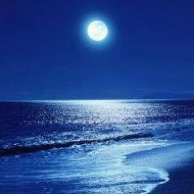 Profile Picture of Herd_Bob (@bob_herd) on Twitter