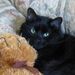 Profile Picture of Janice Abrams (@janicea1) on Pinterest