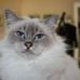 Profile Picture of Hannah Helmer (@hannah.helmer.9) on Facebook