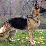 Profile Picture of Jason Gleaves (@jasongleaves5714) on Instagram