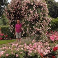 Profile Picture of Andre Rackels (@andrerackels) on Pinterest