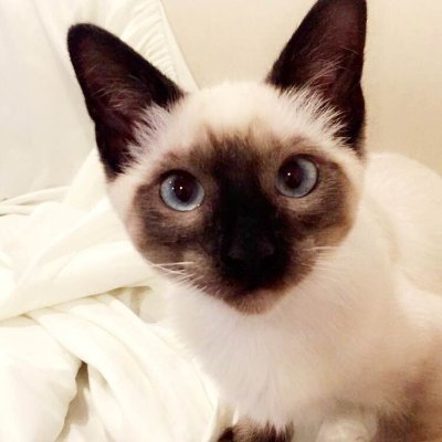 Profile Picture of James Curbow (@your_b1gbroth3r) on Twitter