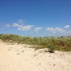 Profile Picture of Maureen Staley (@maur75) on Pinterest