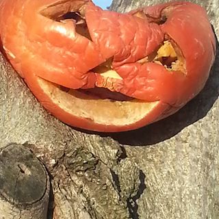 Profile Picture of Hans Holt (@hans.holt.524) on Facebook