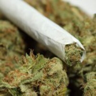 Profile Picture of Robbie Mays (@IndyKush317) on Twitter