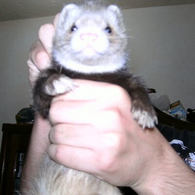 Profile Picture of Christopher Caba (@Emergent_) on Twitter