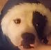 Profile Picture of Randy Speelman (@randy.speelman.50) on Facebook