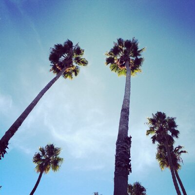 George Dewey - Twitter Profile Picture of George Dewey (@gd32_) on Twitter