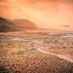 Profile Picture of Kim Plumbtree (@mamaplumbsphotography) on Instagram