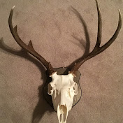 Matthew Mousel - Youtube Profile Picture of Matthew Mousel (@matthewmousel2975) on Youtube