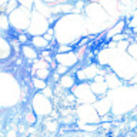 Profile Picture of Brianna Cherry (@briannacherry9) on Poshmark