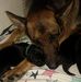 Profile Picture of Keith Mellinger (@Keith-Mellinger) on Facebook