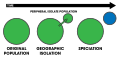 Profile Picture of Peripatric speciationon Wikipedia