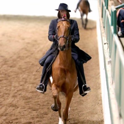 Profile Picture of Michael Eure ⚓ (@MichaeI_John) on Twitter