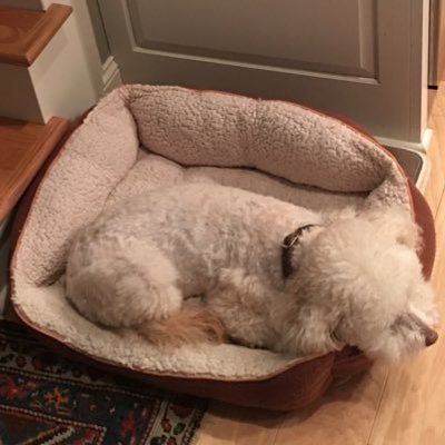 Profile Picture of J. Thomas Milam (@JimmyMilam) on Twitter