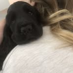 Profile Picture of Laura Maclean (@Laura-Maclean) on Facebook