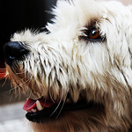 Profile Picture of Julio Figueredo (@julio_figueredo) on Flickr