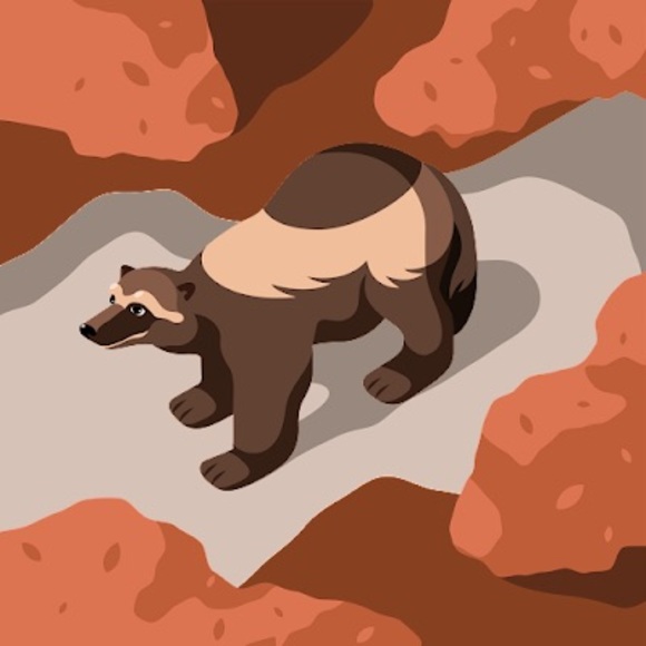 Matt Mccandless - Poshmark Profile Picture of Matt Mccandless (@mmccandless70) on Poshmark