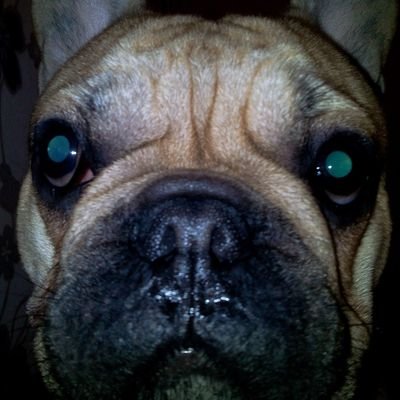 Profile Picture of Justin Reinhardt (@JustinReinhard3) on Twitter