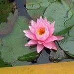 Becky Maynard - Instagram Profile Picture of Becky Maynard (@beckymaynard6667) on Instagram