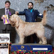 Profile Picture of Diana Patterson (@dianapatterson4937) on Youtube