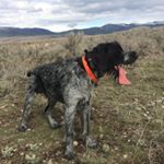 Profile Picture of josh vest (@jlvest1) on Instagram