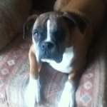 Profile Picture of Aaron Leahy (@aaronleahy7788) on Instagram