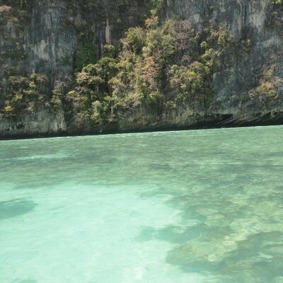 Profile Picture of Jim Bearden (@iTraveled247) on Twitter