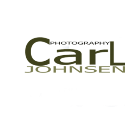 Profile Picture of Carl Johnsen (@aalpinee) on Twitter