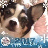 Profile Picture of Pat Webster Smith (@pat-webster-smith) on Quora