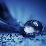 Profile Picture of Kenneth Barden (@ukuleviwa) on Instagram