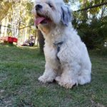 Profile Picture of christopher newell (@christophernewell75) on Instagram