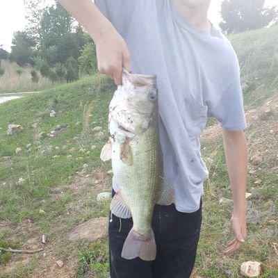 Luke Bridgeman - Twitter Profile Picture of Luke Bridgeman (@RunningDeer4405) on Twitter