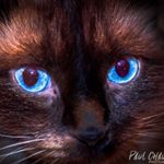 Profile Picture of Paul Chausse (@chausse.images) on Instagram