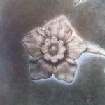 Profile Picture of Adam Fuss (@adamfussstudio) on Instagram