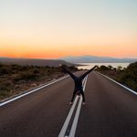 Profile Picture of Leah Timmermann (@lottiontour43) on Instagram