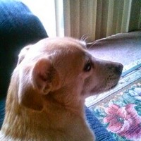 Profile Picture of Dennis Aigotti (@dennis-aigotti) on Quora