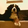 Profile Picture of loriprusinski (@loriprusinski) on Tiktok