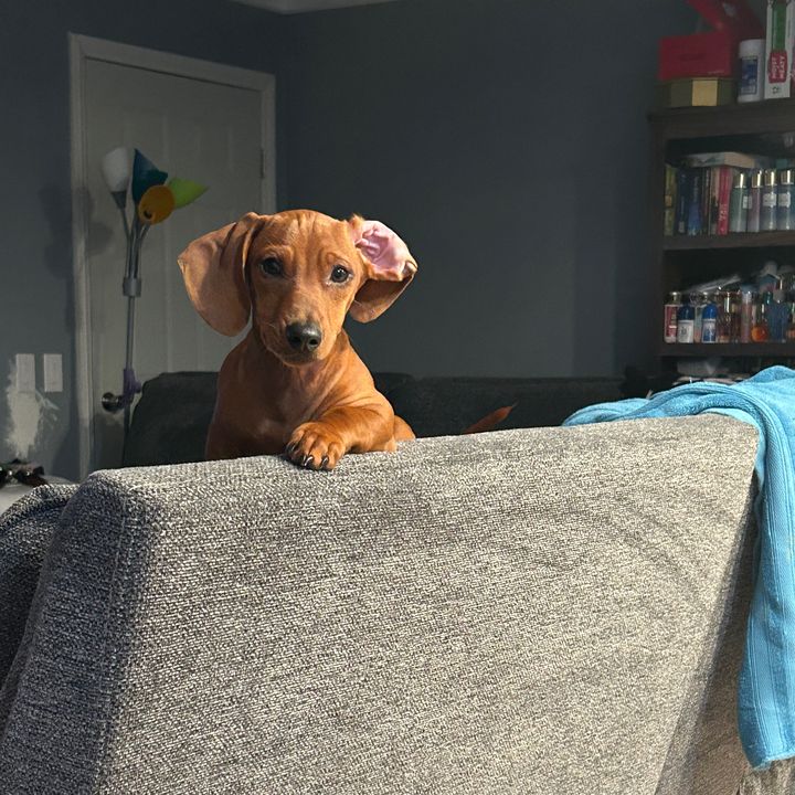 Profile Picture of user4150352760681 (@mabel.cloud26) on Tiktok