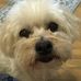 Profile Picture of Paula Van Natta (@paula.vannatta.526) on Facebook