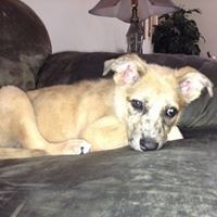 Profile Picture of Kim Major (@kim-major-8) on Quora