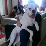 Profile Picture of Tony Foreman (@tony.foreman) on Instagram