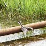 Profile Picture of Tony Goddard (@goddardtony) on Instagram