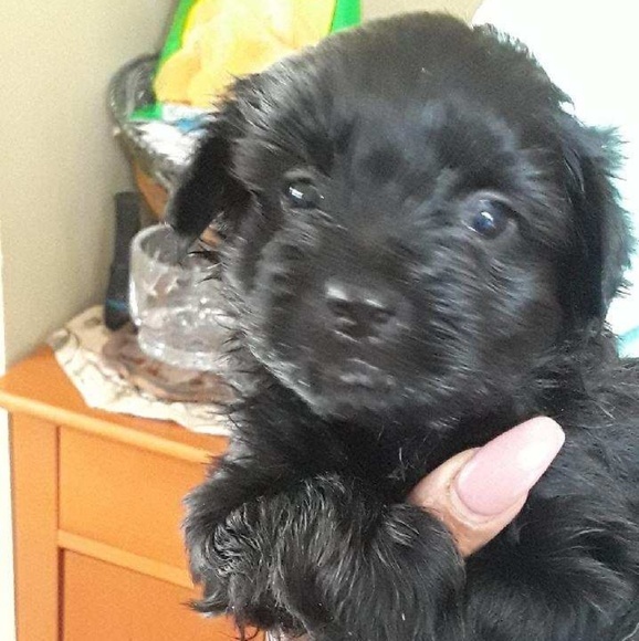 Profile Picture of Audra Chinagorom (@reignbeaux_) on Poshmark