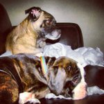 Profile Picture of James Saez (@goldwizsincere) on Instagram